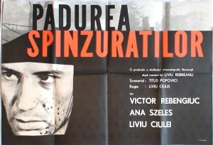 Pădurea spânzuraților (1965), regia Liviu Ciulei (rolul: Varga) Sursa: https://www.cinemagia.ro/actori/andras-csiky-62246/