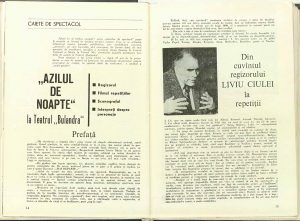 Liviu Ciulei, Caiete de spectacol: „Azilul de noapte” la Teatrul „Bulandra”