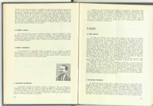 Stagiunea 1964 – 1965: Animatorul şi structura ansamblului teatral (revista Teatrul: Nr. 7 - 1965)